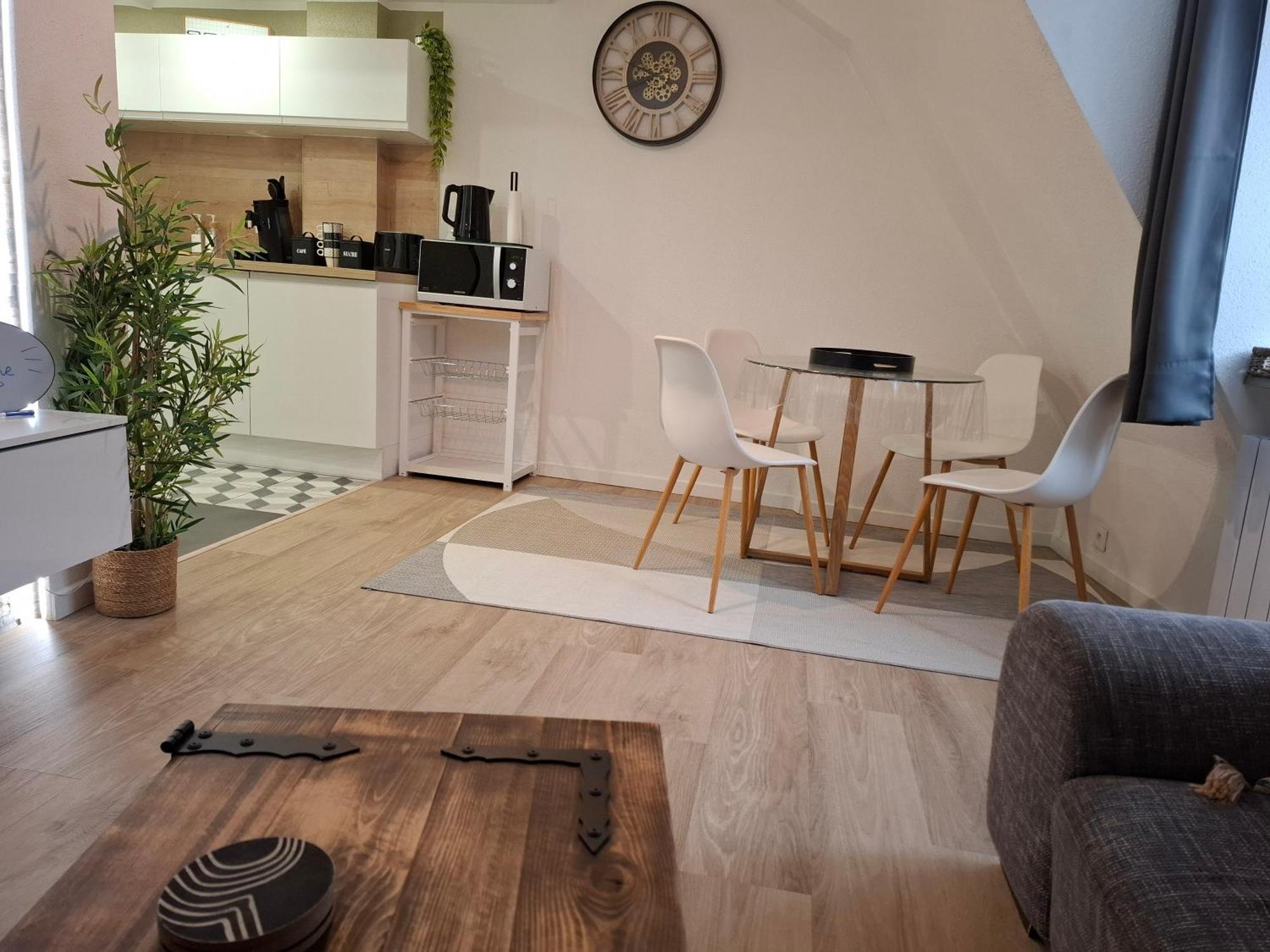 Bel Appartement, Sélestat Exteriér fotografie