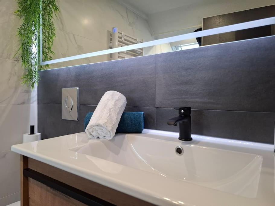 Bel Appartement, Sélestat Exteriér fotografie